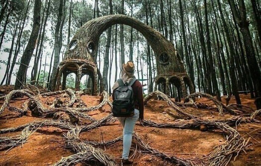 Goa Pindul – Pantai Indrayanti- Pinus Pengger – Candi Borobudur – Lava Tour – Oleh Oleh