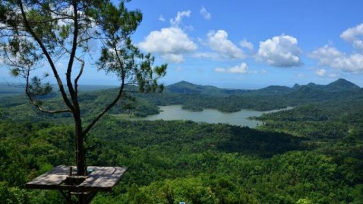 Kalibiru – Waduk Sermo – Hutan Mangrove