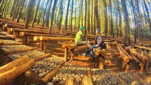 Sunrise Tembelan (Optional )– Hutan Pinus Mangunan – Goa Pindul – Pantai Indrayanti - Landmark Merapi – The Last World Castle – Malioboro – Pusat Oleh-Oleh
